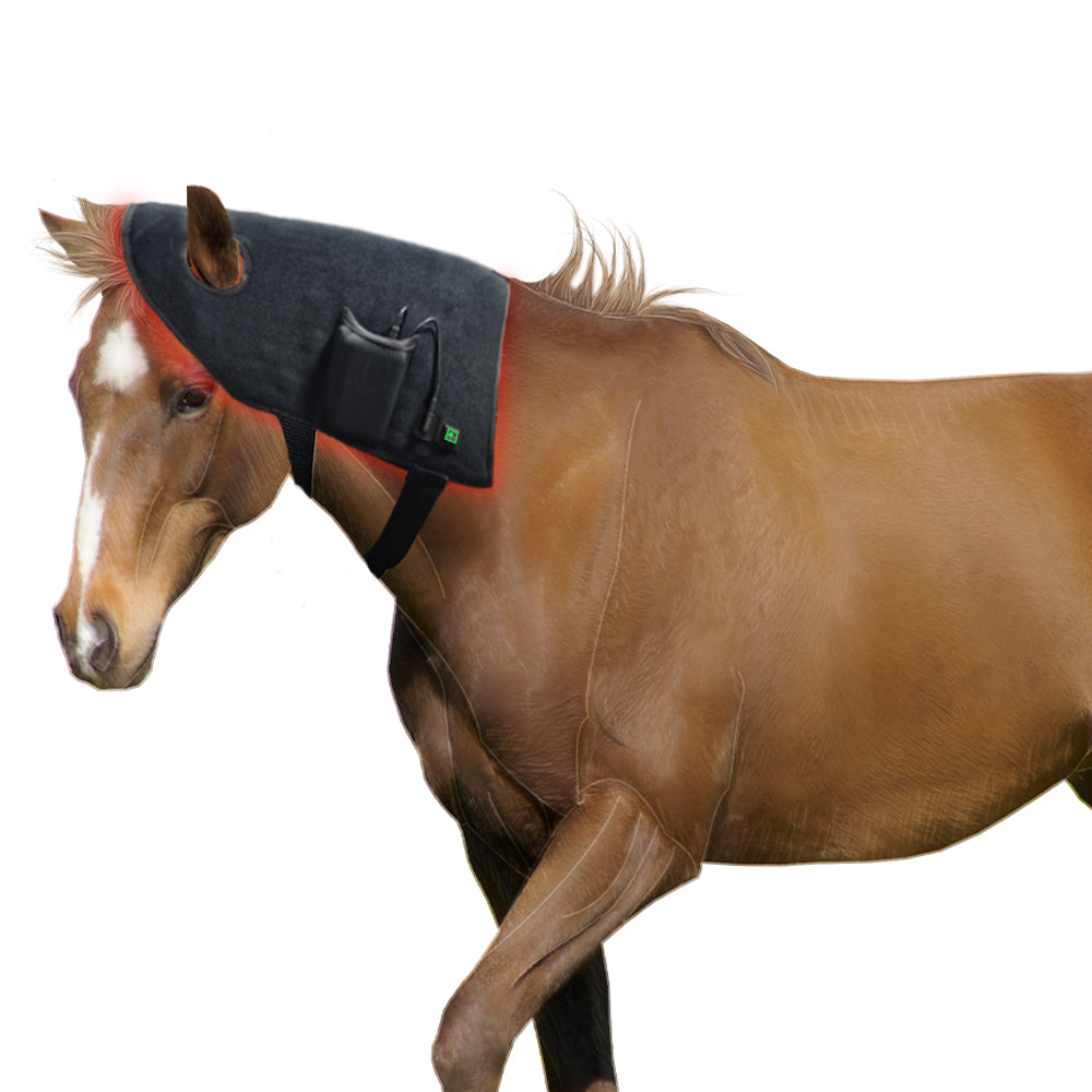Horses Red & Infrared Light Therapy Device, Wearable Red Light Therapy Belts for Horse Head and Neck Relaxation and Recovery Therapy