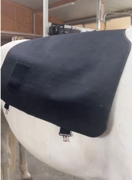 Red Light Therapy Pad for Horses, Near Infrared Light with Adjustable Intensity and Time, Cordless Use with Adjustable Straps, Suitable for Horses