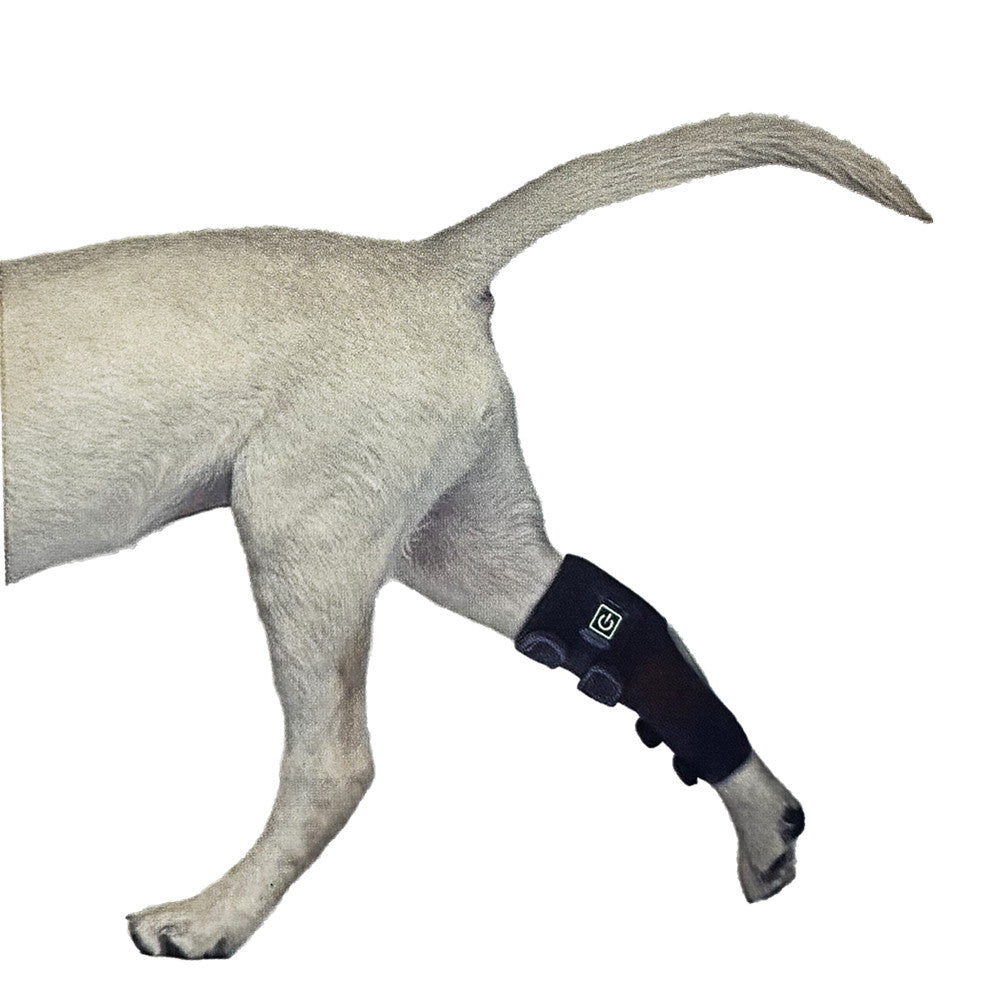 Red Light Therapy Belt for Pets Dogs, Portable Timing Wearable Infrared Therapy Device for Dogs Leg, Relieving Joint Pain in Small Medium Large Dogs Cats
