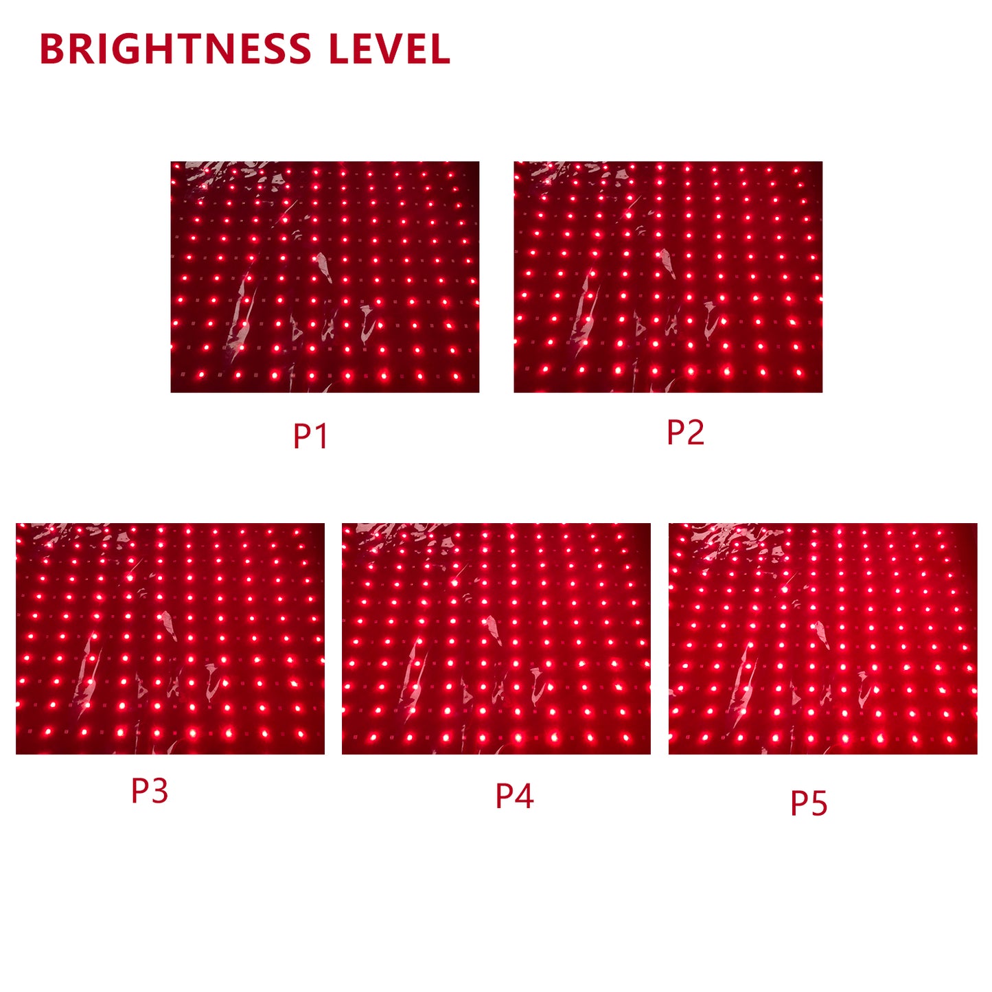 2025 New 3100pcs Dual Wavelength LED Beads 660nm&850nm Red Light Therapy Mat Full Body Used to Relieve Pain 71''x 69''