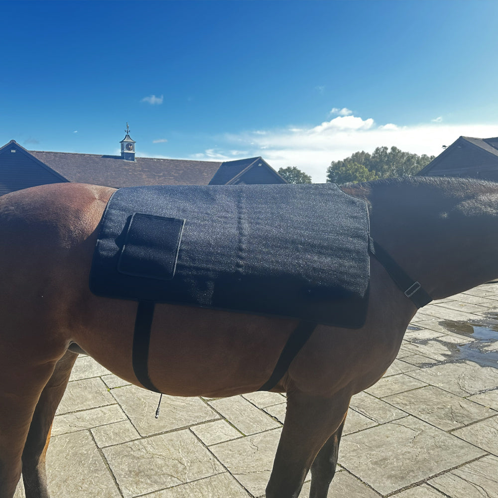 Red Light Therapy Pad for Horses, Near Infrared Light with Adjustable Intensity and Time, Cordless Use with Adjustable Straps, Suitable for Horses