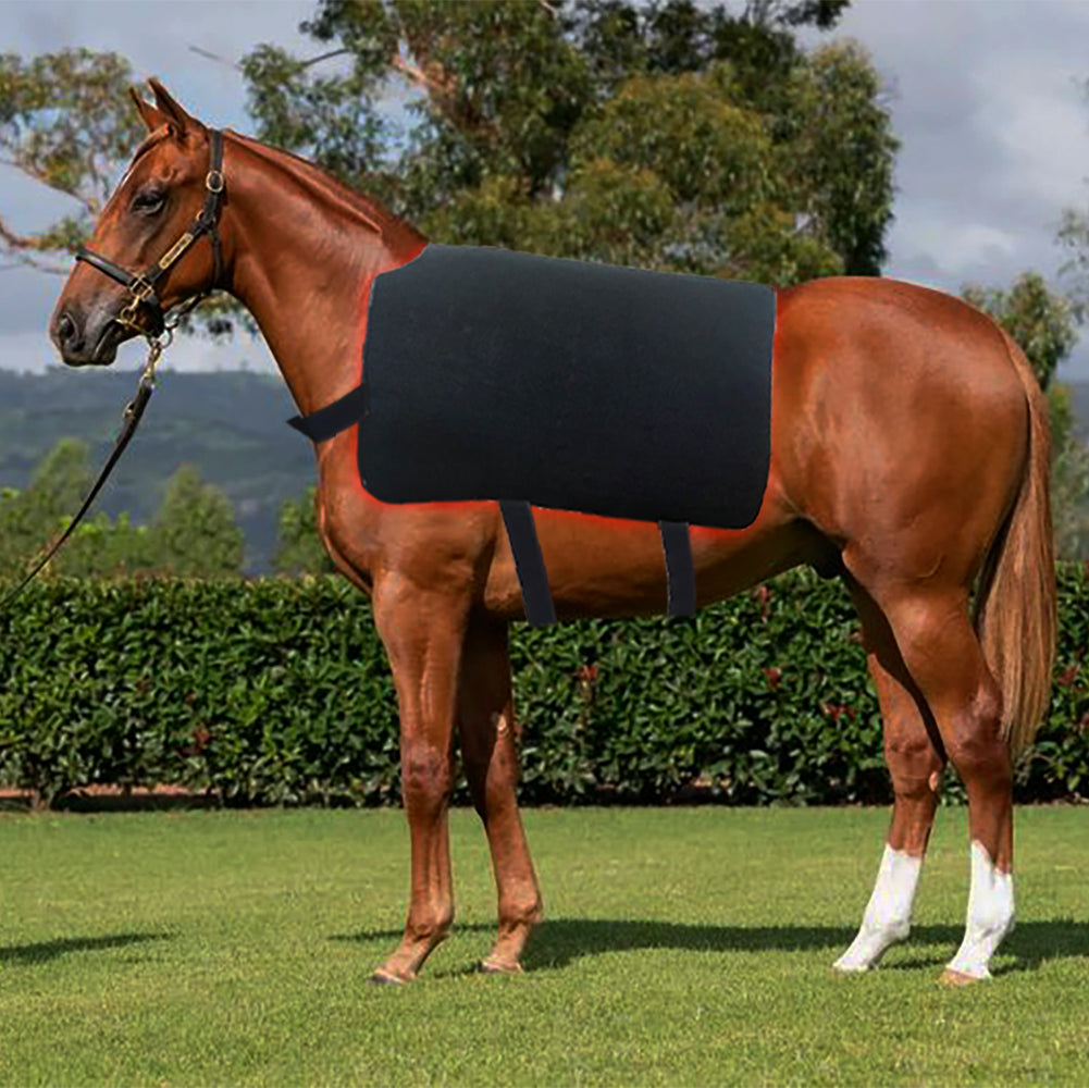 Red Light Therapy Pad for Horses, Near Infrared Light with Adjustable Intensity and Time, Cordless Use with Adjustable Straps, Suitable for Horses
