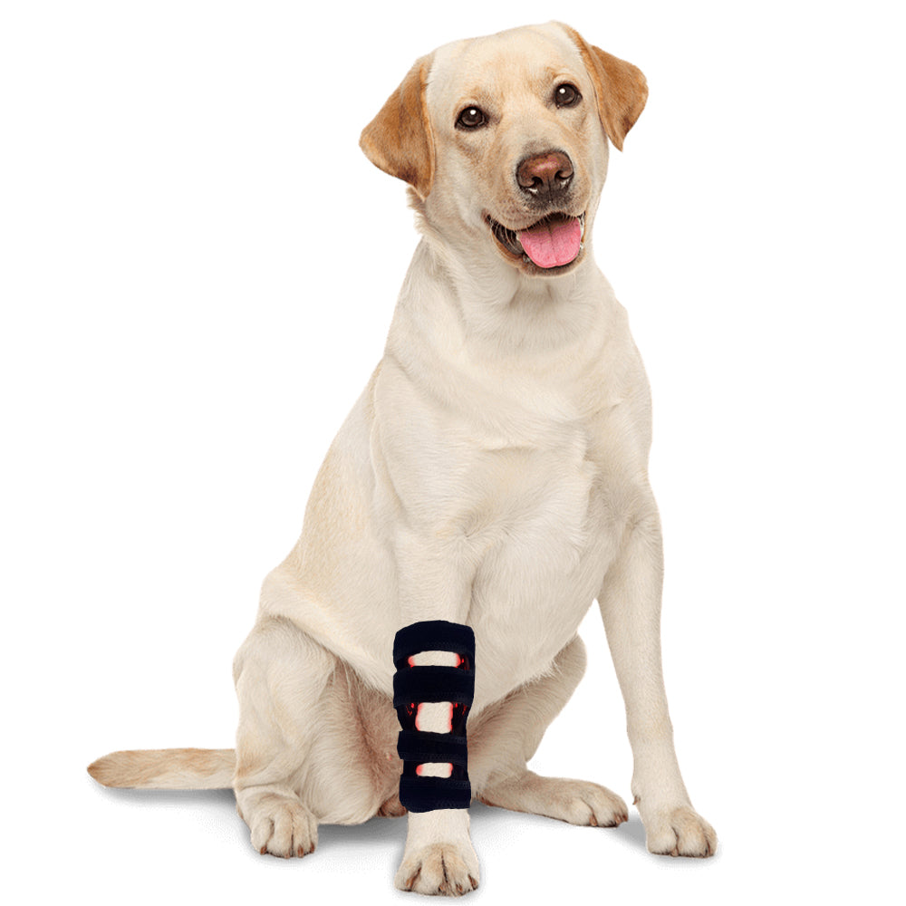 Red Light Therapy Belt for Pets Dogs, Portable Timing Wearable Infrared Therapy Device for Dogs Leg, Relieving Joint Pain in Small Medium Large Dogs Cats
