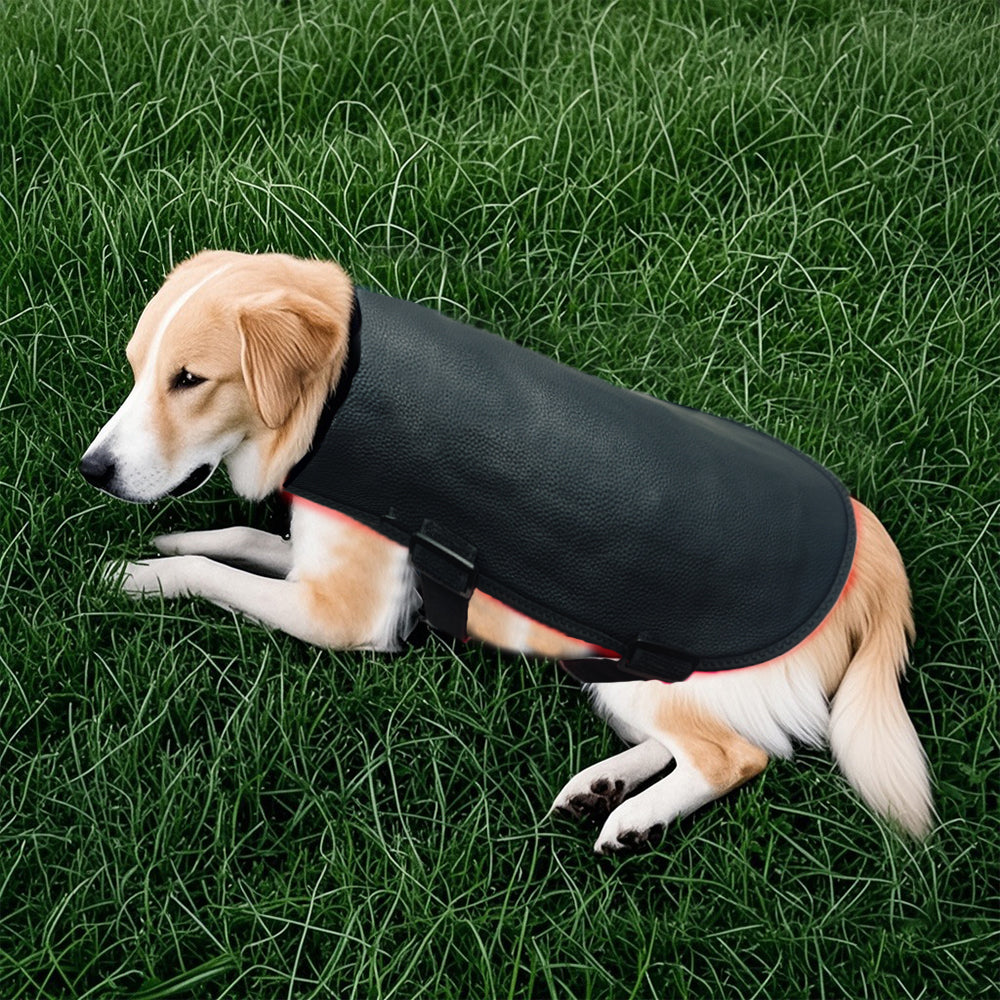 Red Infrared Light Therapy Belt for Pets Pain Relief, Portable Wearable Cold Laser Therapy Device for Dogs Tissue Repair, Joint & Back Pain