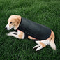 Red Infrared Light Therapy Belt for Pets Pain Relief, Portable Wearable Cold Laser Therapy Device for Dogs Tissue Repair, Joint & Back Pain