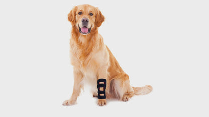 Red Light Therapy Belt for Pets Dogs, Portable Timing Wearable Infrared Therapy Device for Dogs Leg, Relieving Joint Pain in Small Medium Large Dogs Cats