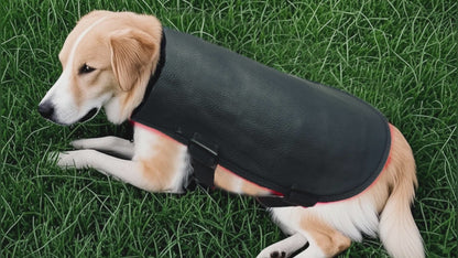 Red Infrared Light Therapy Belt for Pets Pain Relief, Portable Wearable Cold Laser Therapy Device for Dogs Tissue Repair, Joint & Back Pain